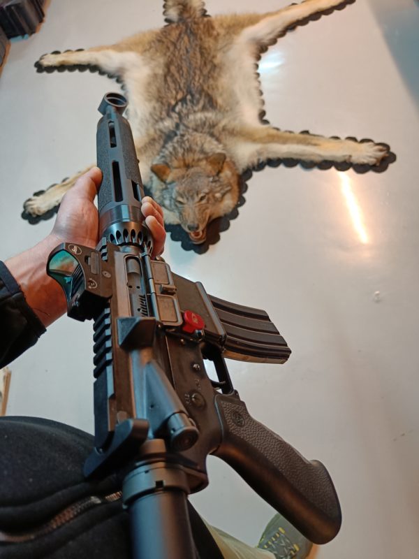 Bushmaster XM15-E2S
