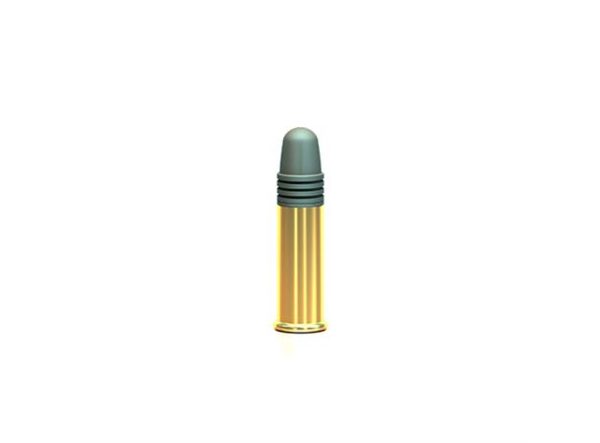 Magtech 22 LR 2