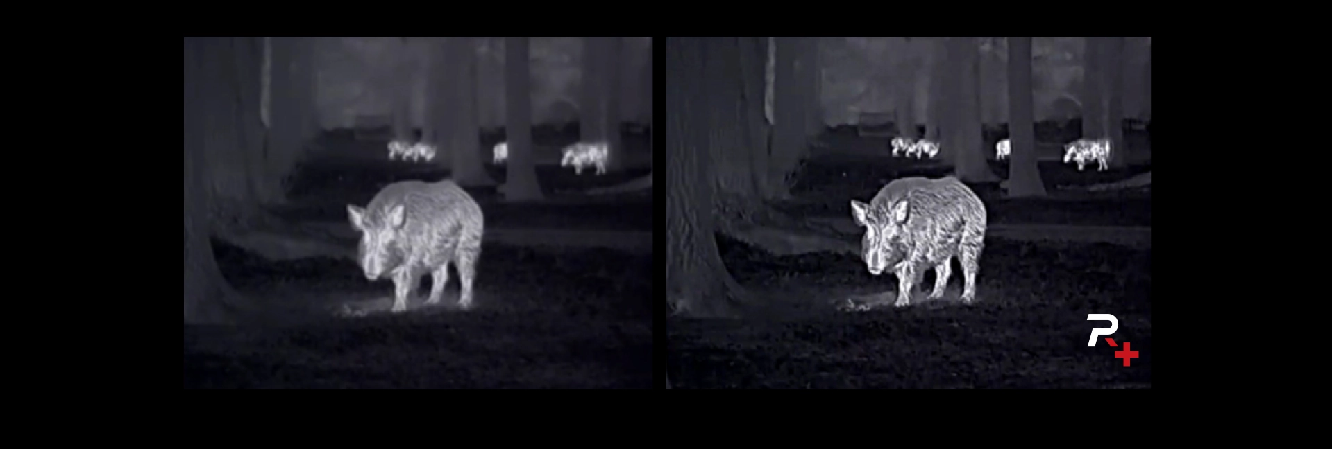 Nocpix LUMI P13 - Reality+ Bildeforbedringsalgoritmer
