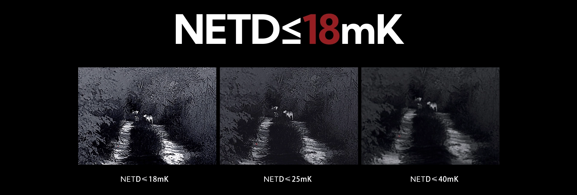 Net Net
